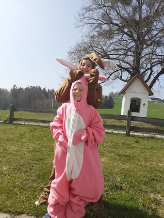 Osterhase am Bauernmarkt