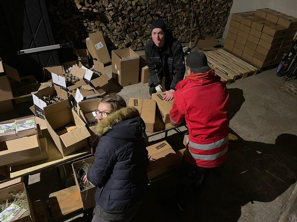 Boxen verpacken