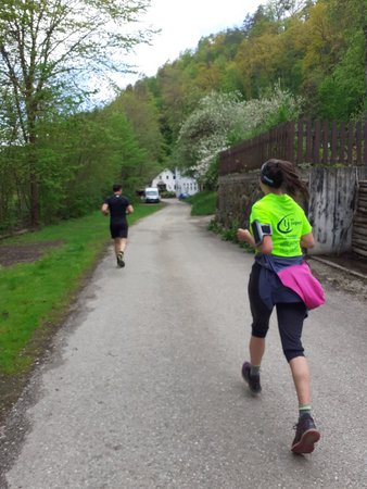 Wings for Life World Run