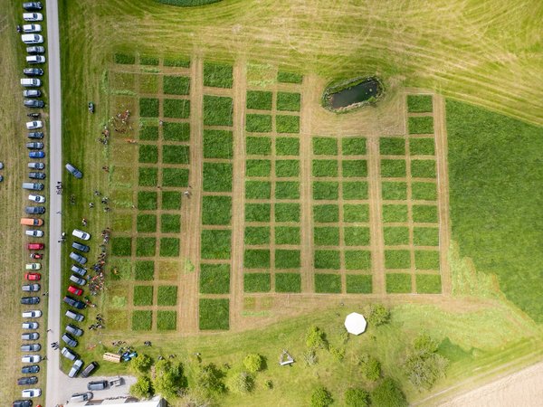 Mostkost & Bezirkssensenmähen